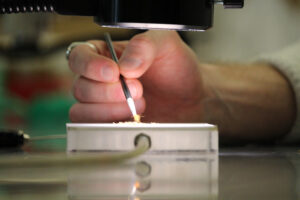 A hand holding a small brush, sorting through something on a Petri dish under a light.